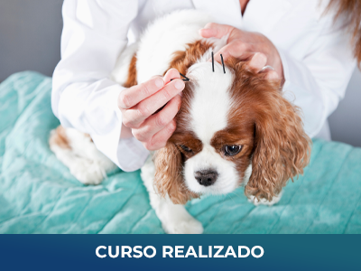 Agrupar 1 copiar