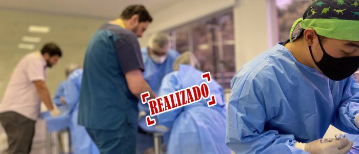 Sem título10