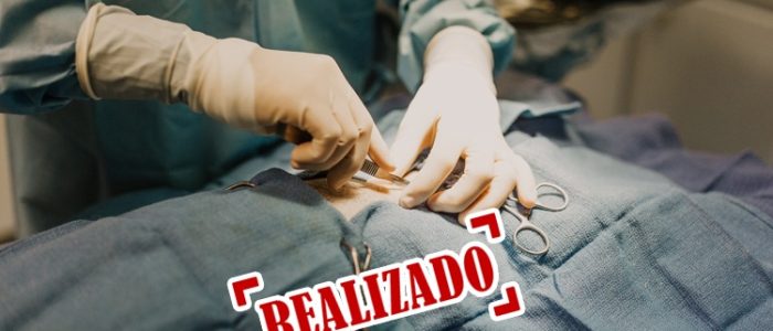 Sem título9