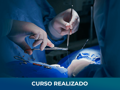Técnicas Cirúrgicas de Cabeça e Pescoço em Pequenos Animais