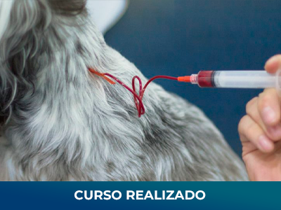 ozonio